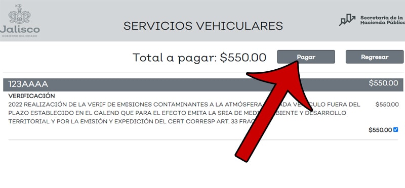 verificacion en jalisco 5