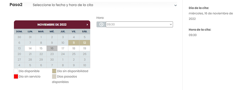 verificar en puebla 2